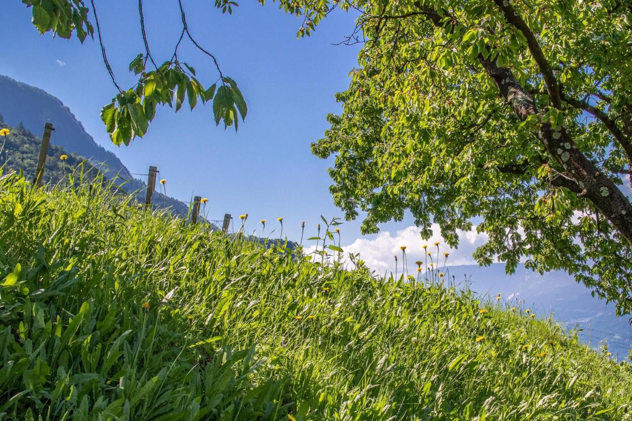 Ferienwohnung Pinot Μεράνο Εξωτερικό φωτογραφία
